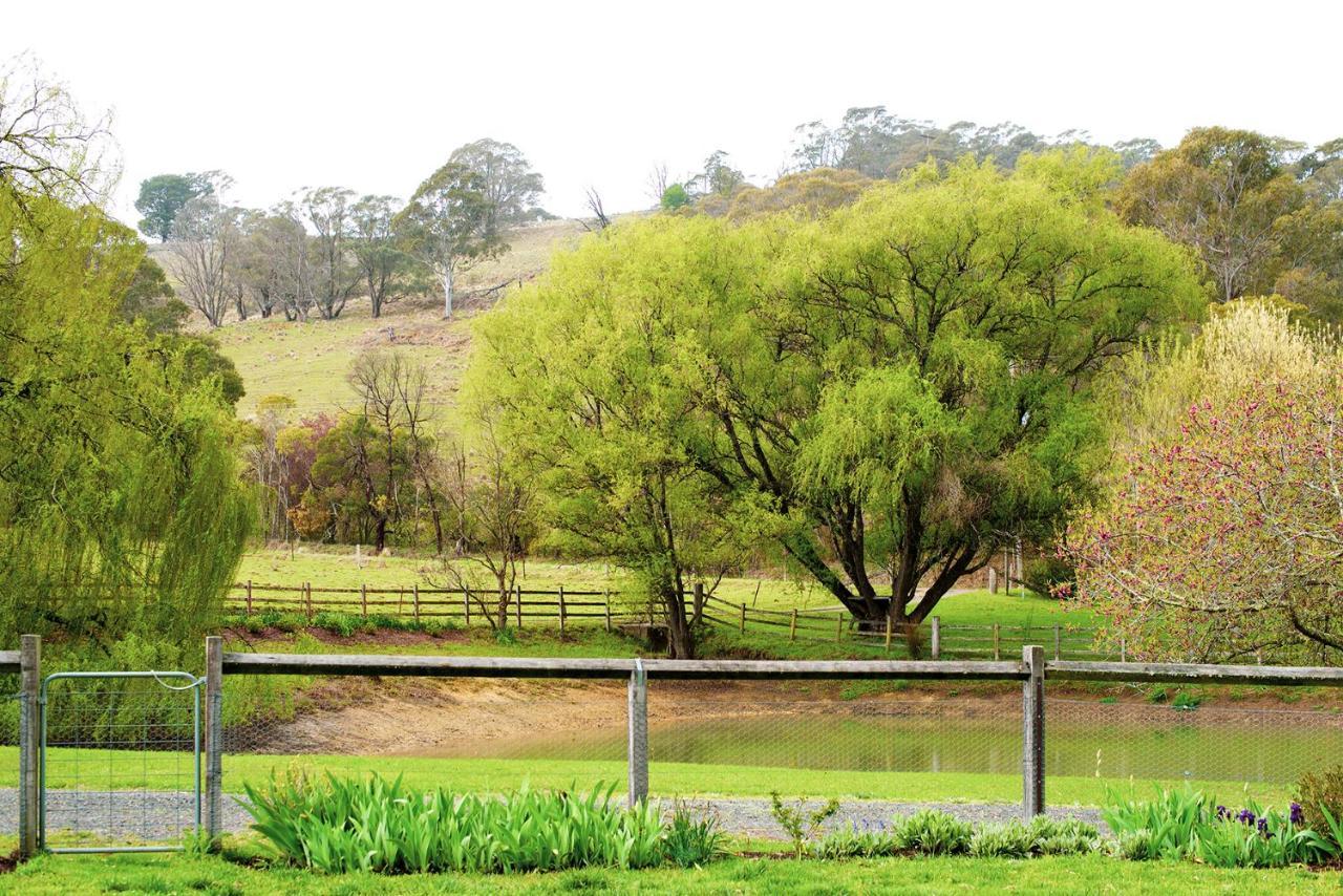 Вілла Farm Club Australia Werai Екстер'єр фото